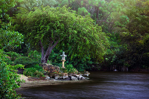 Morikami Museum and Japanese Gardens 