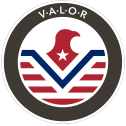 inclusion group Veterans Alliance for Leadership Outreach and Resilience icon