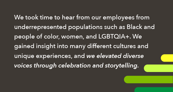 graphic documenting CHG's inclusion and belonging journey with respect to hiring and decision making