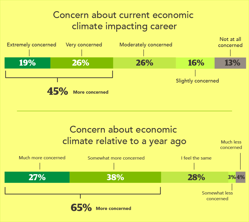 Chart - concern about economic climate impacting career